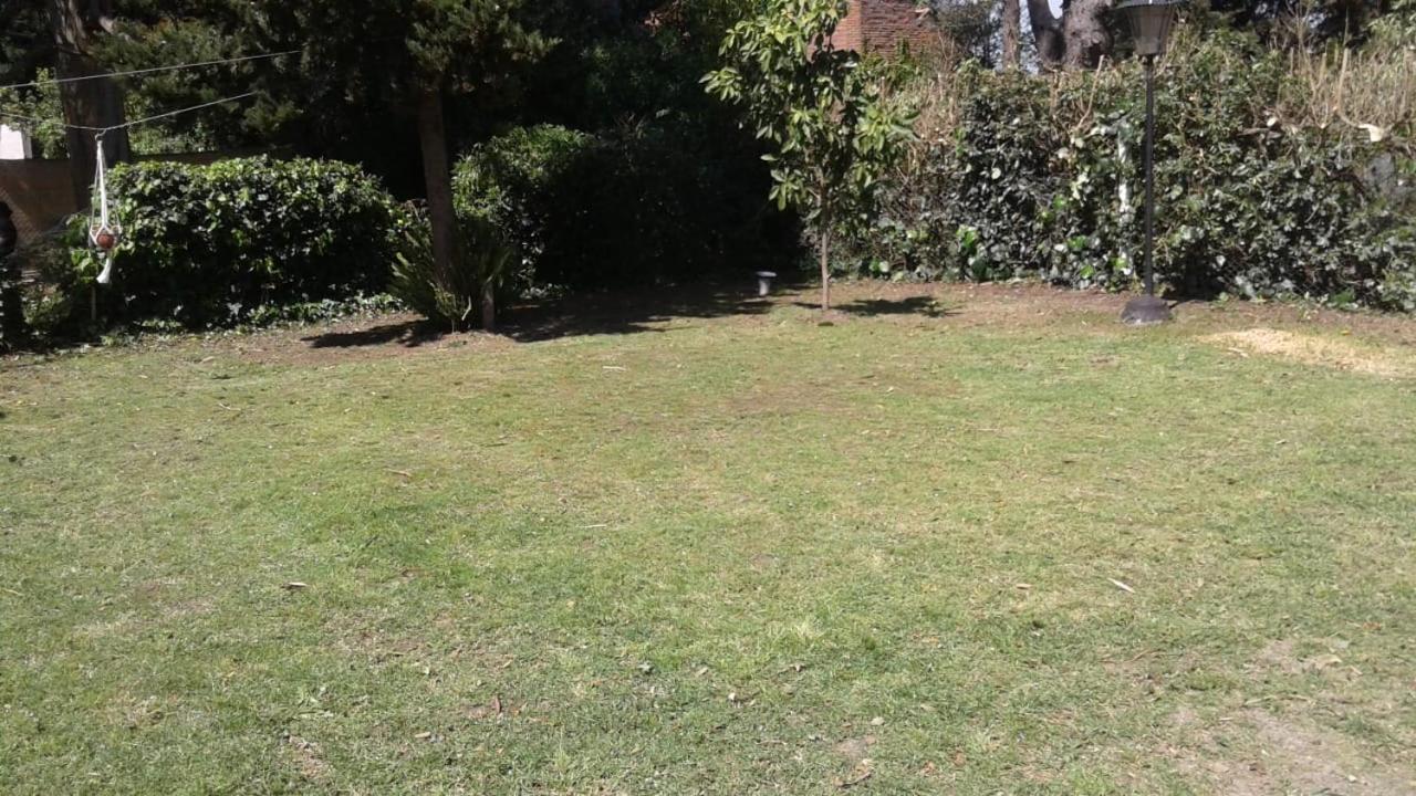 Alika - Acantilados Mar del Plata